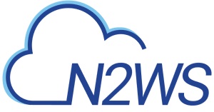 N2WS Logo-2.2