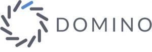 Domino Data Lab-logo-1.1