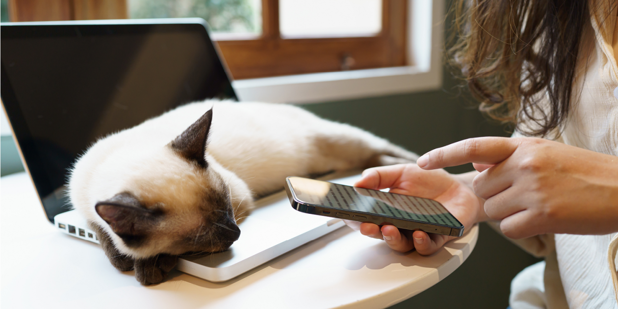 How JBS Dev Leveraged AWS Lambda to Modernize a National Pet Retailer’s