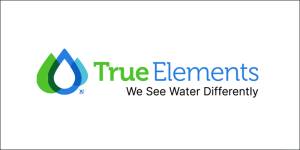 True-Elements-AWS-Partners-2024