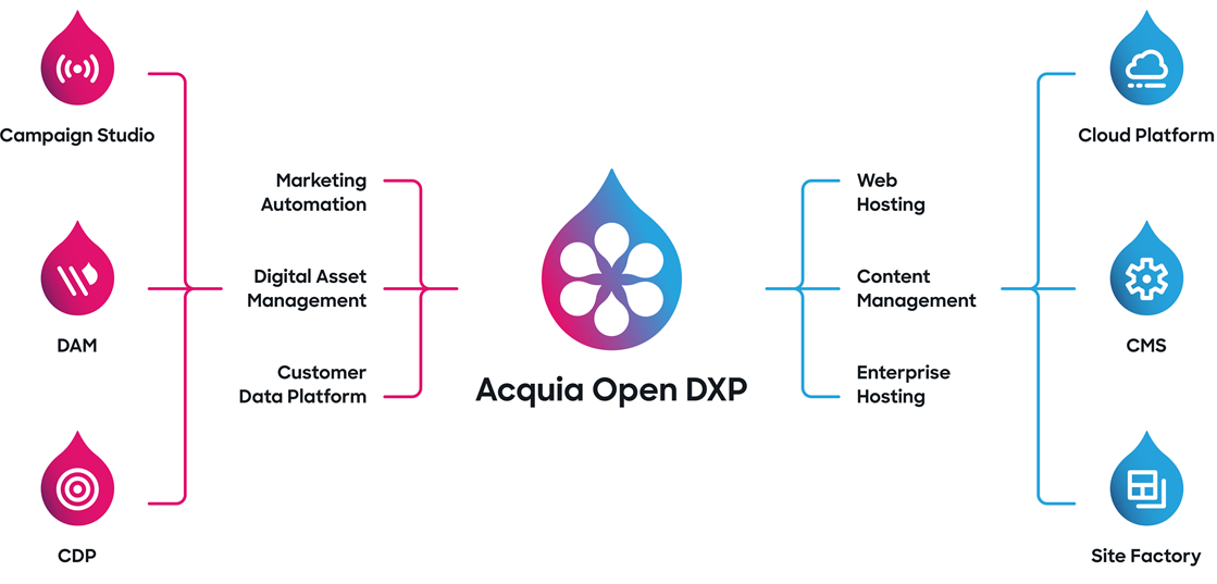 Powering Digital Government With AWS And Acquia Digital Experience 