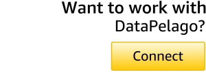 DataPelago Connect Button