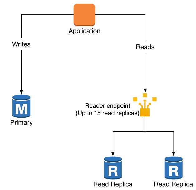 Figure 1: Current architecture with the application deciding which endpoint to use