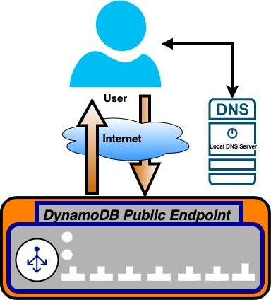 Figure 1: Architecture diagram showing the flow between the application and the DynamoDB endpoint