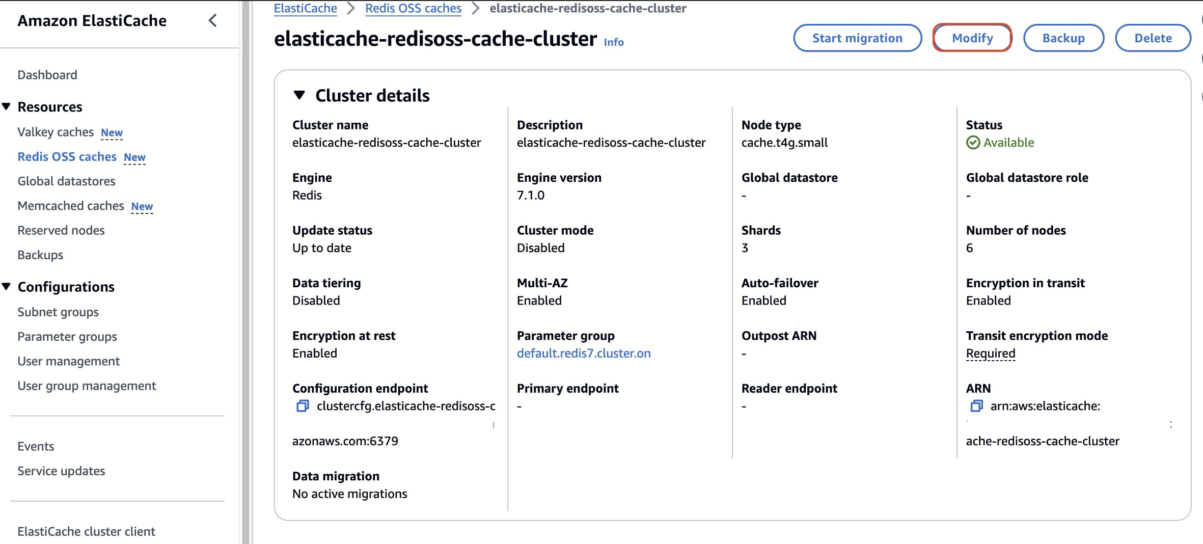 AWS ElastiCache for Valkey