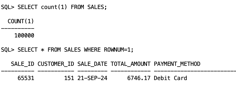 SQL queries showing row counts and sample data from SALES table