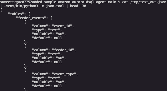 Lambda test output showing the grid database schema returned from Aurora DSQL