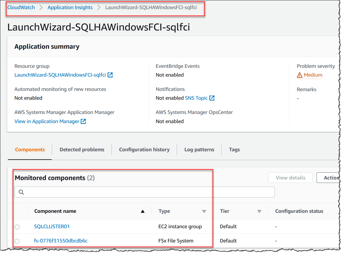 Figure 11 : Application summary for the application launched through Launch Wizard