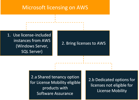 Figure 1: Microsoft Workloads Licensing options