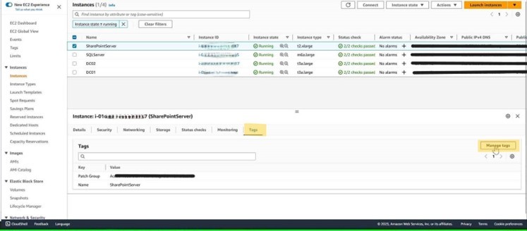 Figure 4: Tags on an EC2 instance