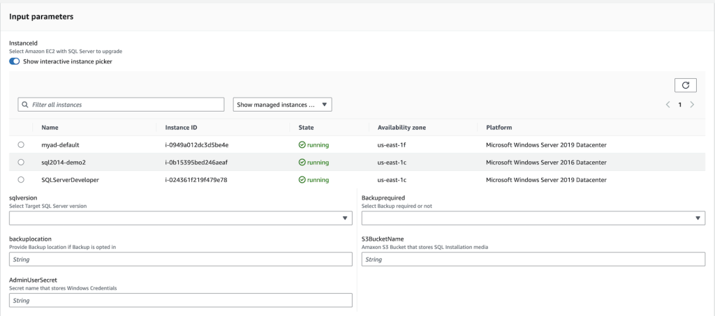 Figure 10. Input parameters for custom document