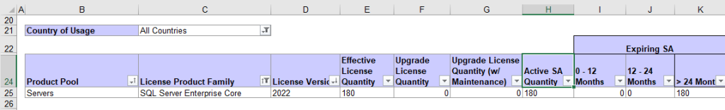 Figure 1 - Example of the License Summary tab in the MLS