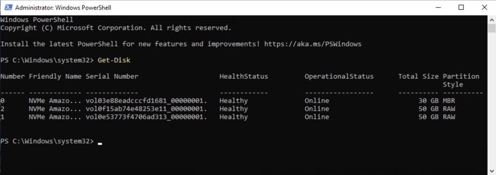 Output of PowerShell Get-Disk command run on EC2 instance showing volumes with RAW partition style