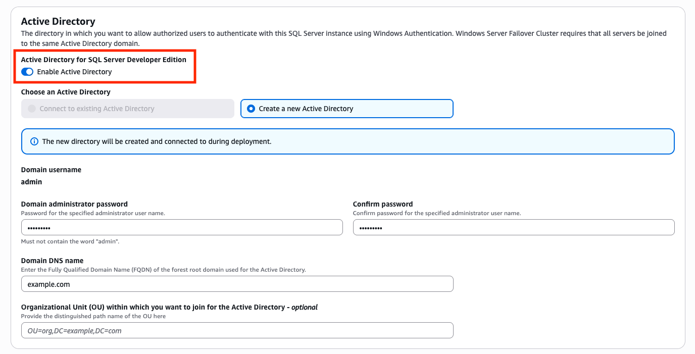 AWS Launch Wizard SQL developer Active Directory settings