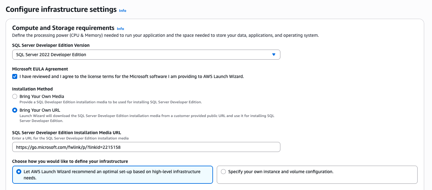 AWS Launch Wizard SQL Server developer infrastructure settings