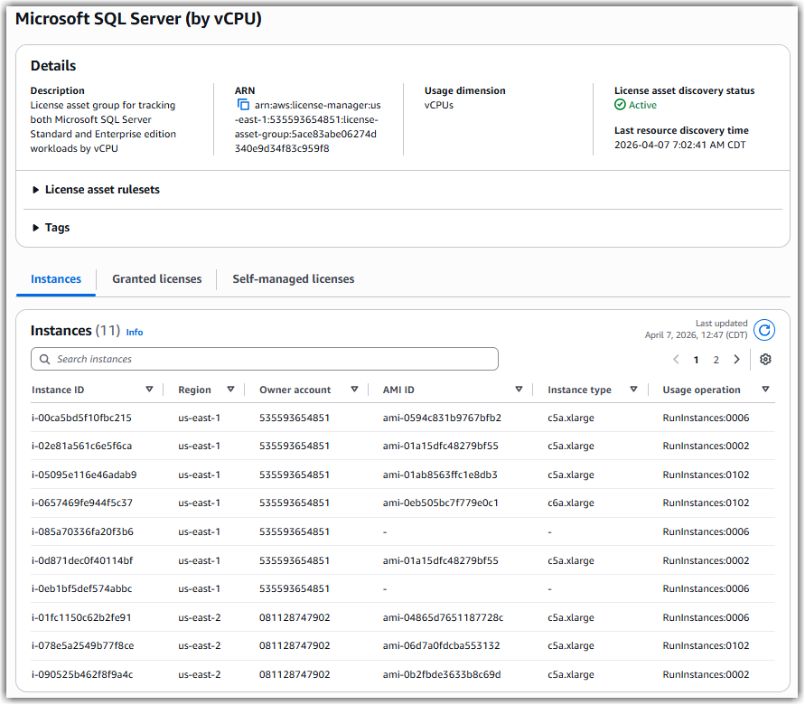 Amazon EC2 instances discovered by the license asset group.
