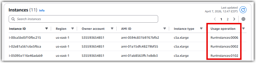 Amazon EC2 instances discovered by the license asset group with highlighted Usage Operation.