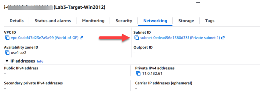 Figure 3. Alt-Text – Reviewing the networking properties of Windows 2012 Instance