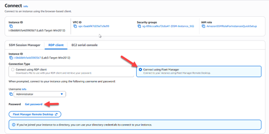 Figure 5. Alt-Text – Getting the Instance password