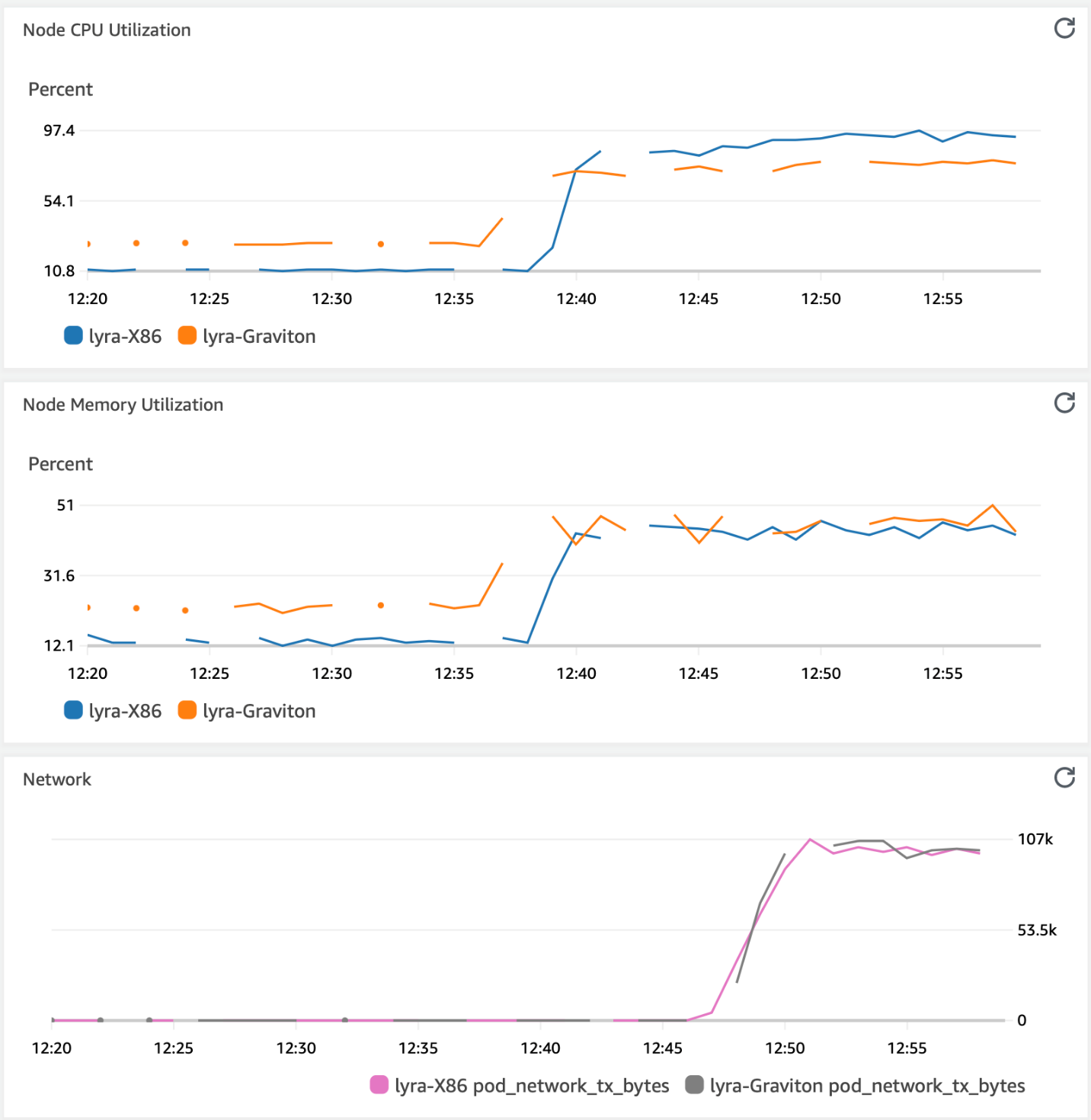 Figure 2 - Resources usage during the simulation