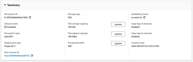 Amazon FSx for OpenZFS configuration.