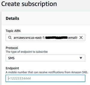 Picture showing SNS topic subscription details