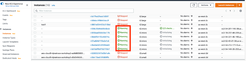 Instances page displays the running instances.