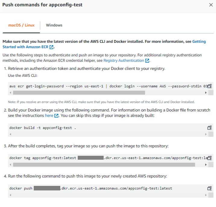 Push commands into Amazon ECR specify the AWS CLI commands to sign in to the Amazon ECR repository, build the Docker image, tag the image, and push the image into the Amazon ECR repository.