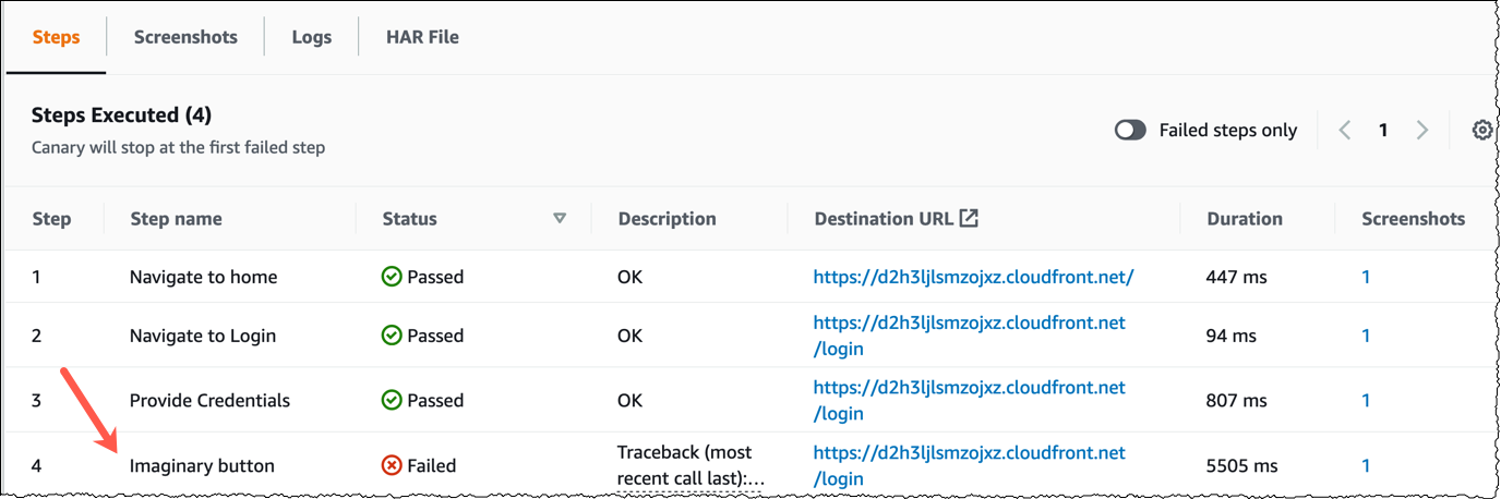 execution steps tab showing the failing step