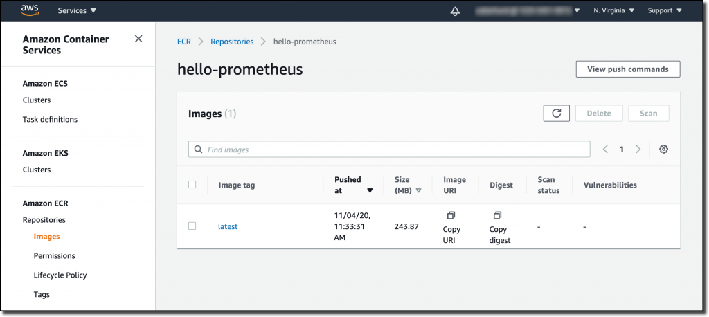 On the hello-prometheus page, under Images, there are columns for Image tag, Pushed at, Size (MB), Image URI, Scan status, and Vulnerabilities.