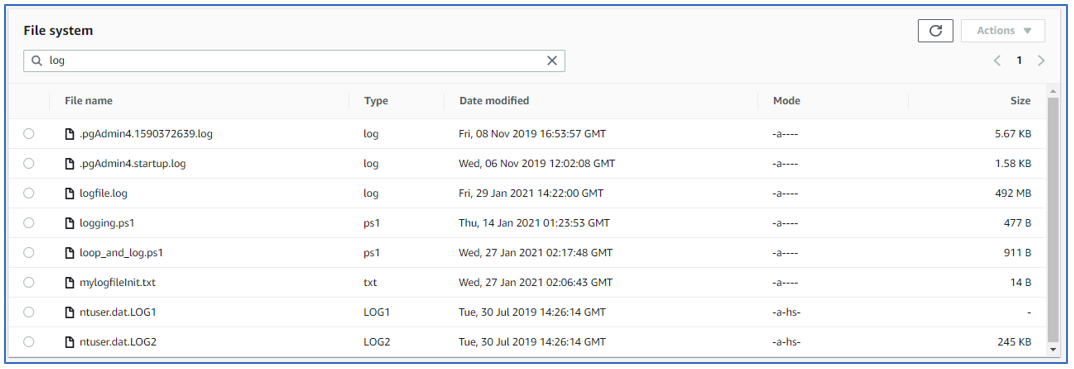 Under File system, a list of files is displayed. There are columns for file name, type, data modified, mode, and size.