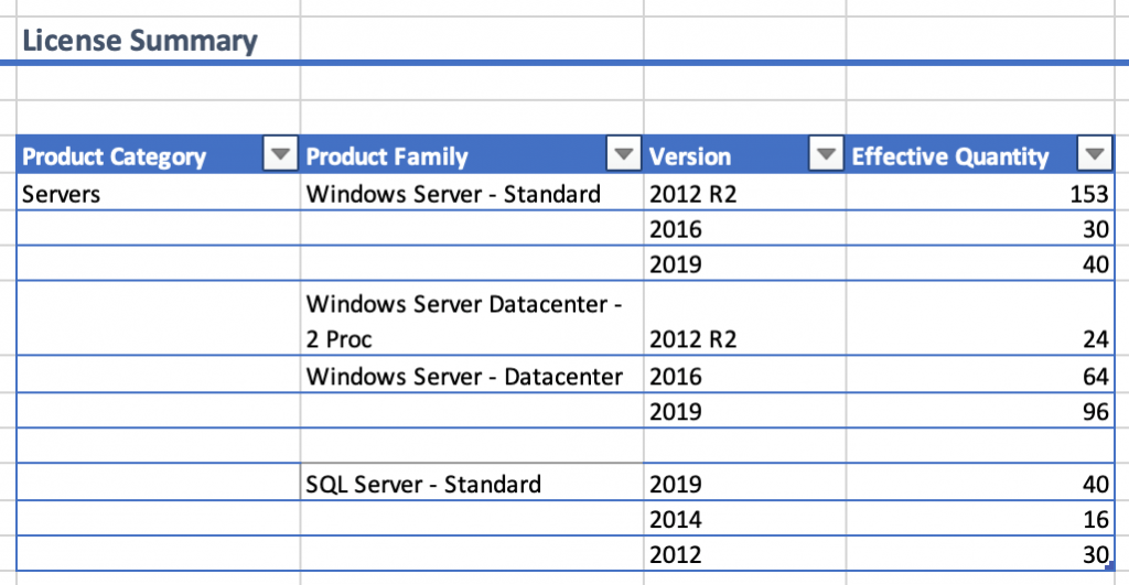 License Summary section of an Excel spreadsheet displays columns for product category, product family, version, and effective quantity.