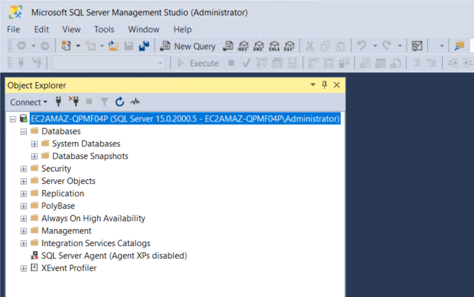 SQL Sever Management Studio displays an EC2 instance running SQL Server and folders underneath for Databases, Security, Server Objects, Replication, and more.