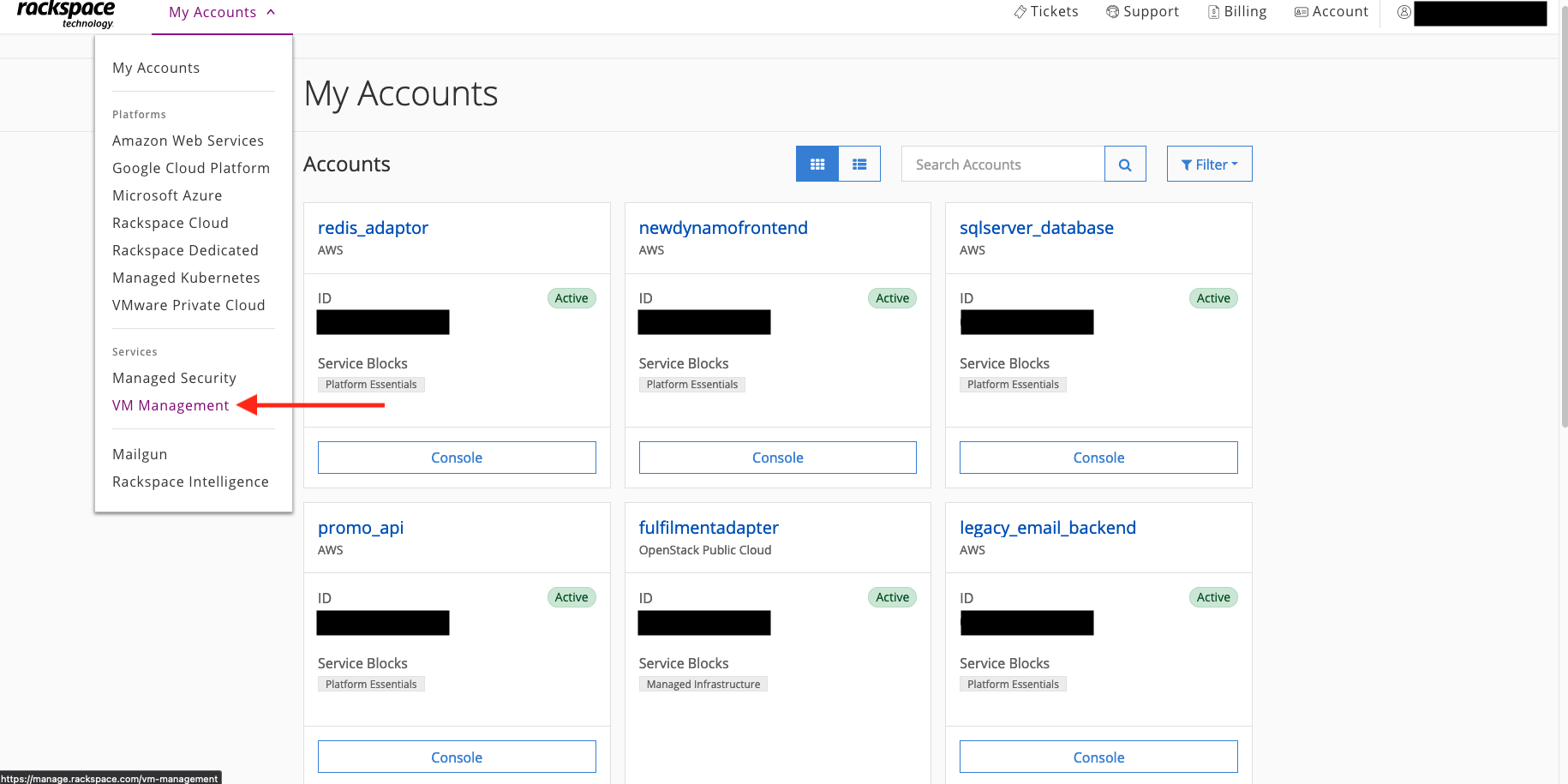 From the My Accounts menu, under Services, VM Management is highlighted. 