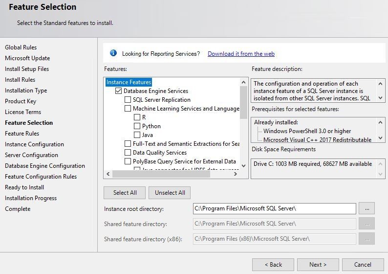 In Feature Selection, under Instance Features, the Database Engine Services check box is selected.