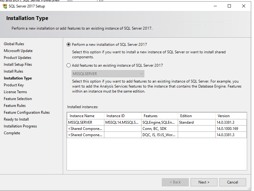 Installation Type displays two options: Perform a new installation of SQL Server 2017 (which is selected in this example) and Add features to an existing instance of SQL Server 2017. There is also a table of installed instances with columns for instance name, instance ID, features, edition, and version.