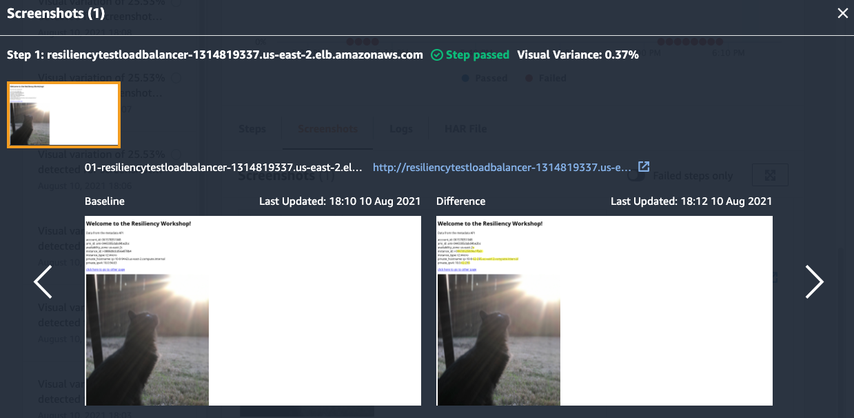 Screenshots tab with updated baseline image of Application page with a cat.