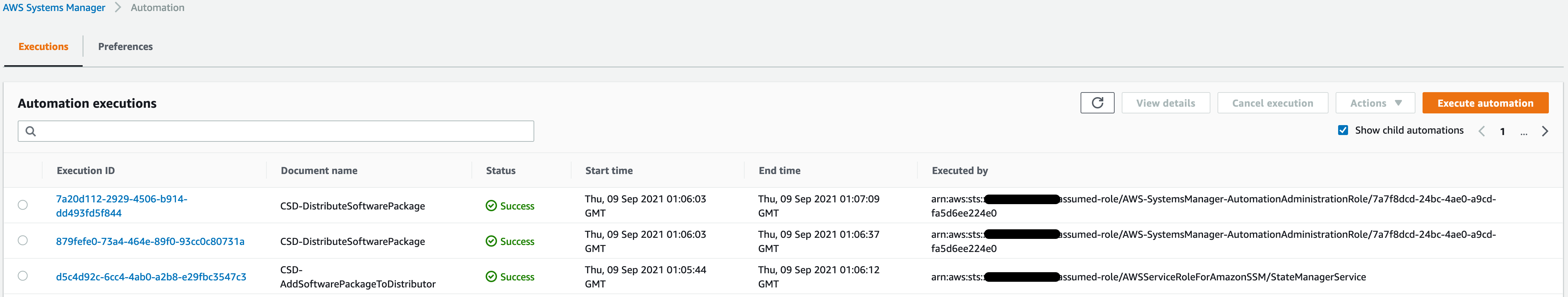 On the Executions tab, the Automation executions are displayed in a table organized by execution ID, document name, status, start time, end time, and executed by.