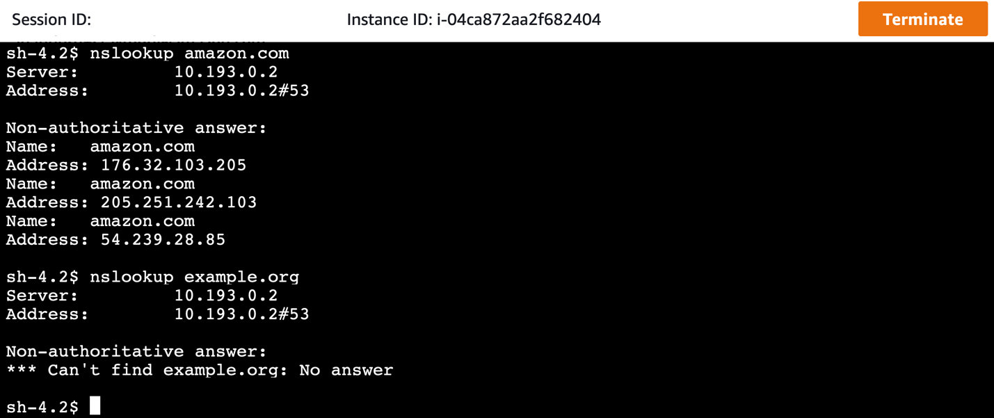 A Session Manager connection to an EC2 instance, where successful and unsuccessful nslookup commands are run.