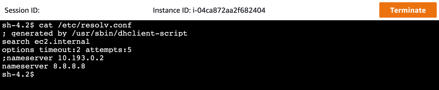 A Session Manager connection to an EC2 instance, modifying the DNS resolver to 8.8.8.8.