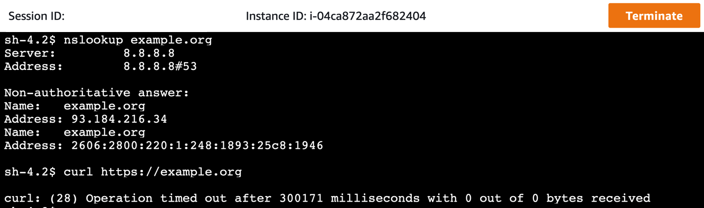 A Session Manager connection to an EC2 instance, attempting to connect to https://example.org. The connection is blocked.