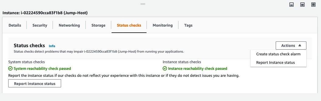 Under Status checks, the system reachability and instance reachability checks have passed.