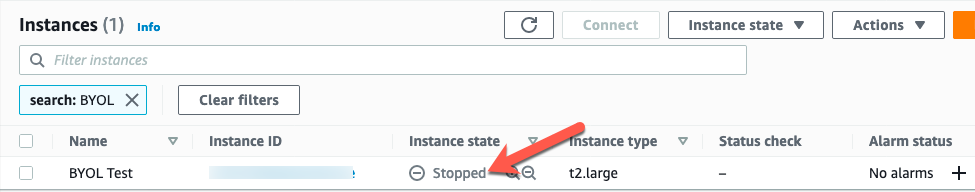 Confirm instance is stopped.