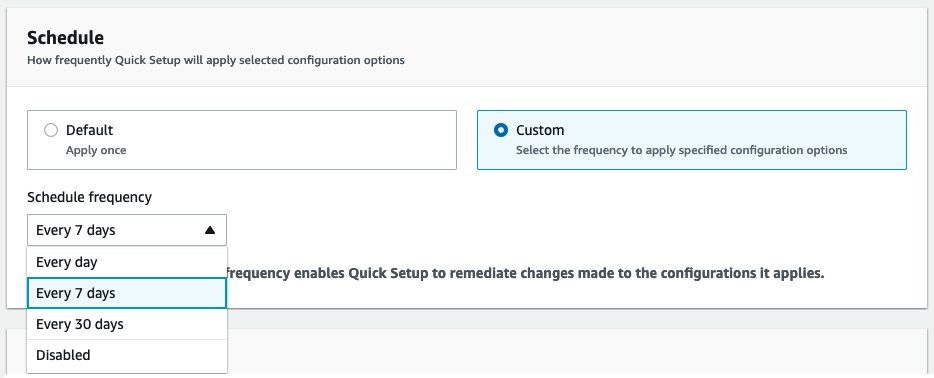 The schedule section allows you to choose the default schedule to apply configuration options only once, or select the custom option to apply configurations every day, every fortnight, every month, or disable it