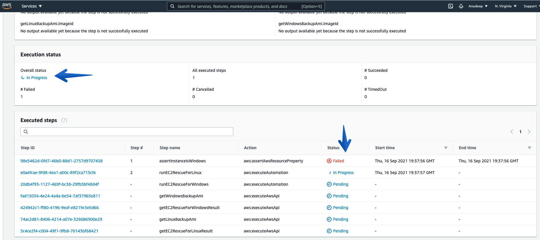 Here you will see every detail of the execution steps that are running as a part of this automation execution. 