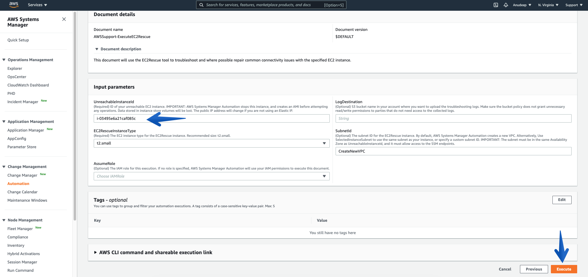 Add the UnrechableInstanceId, EC2RescueInstanceType under input parameters and click on Execute. 