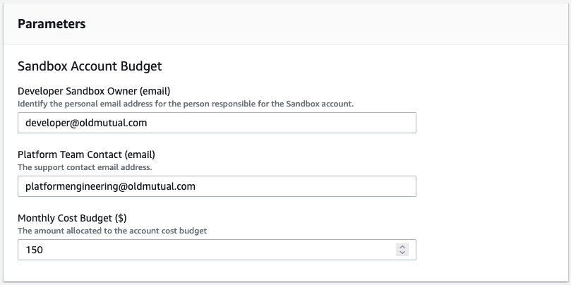 Service catalog parameters page. Developer Sandbox email and platform team contact email filled out. Monthly cost budget of 150$.