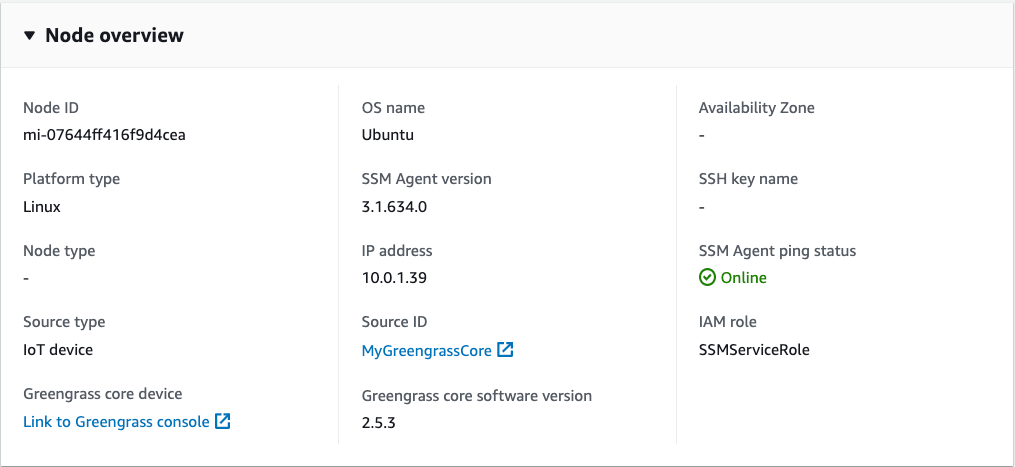 Figure 3: Node overview page showing details of the managed node.