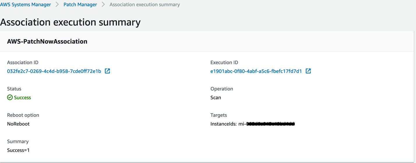 Figure 6: Association Execution Summary window showing details of Patch operation in Scan mode.