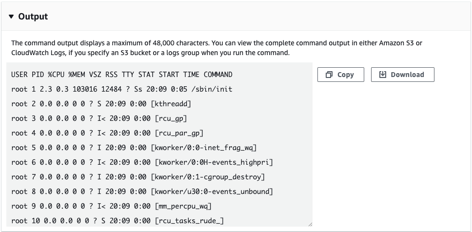 Figure 9: Output of shell command ran through Run Command.